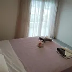 Hilltop Luxury Apartament PalaiónTsiflíkion