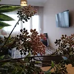 Hilltop Luxury Apartament *