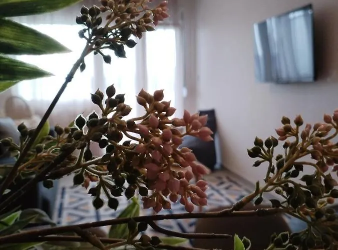 Hilltop Luxury Apartament *